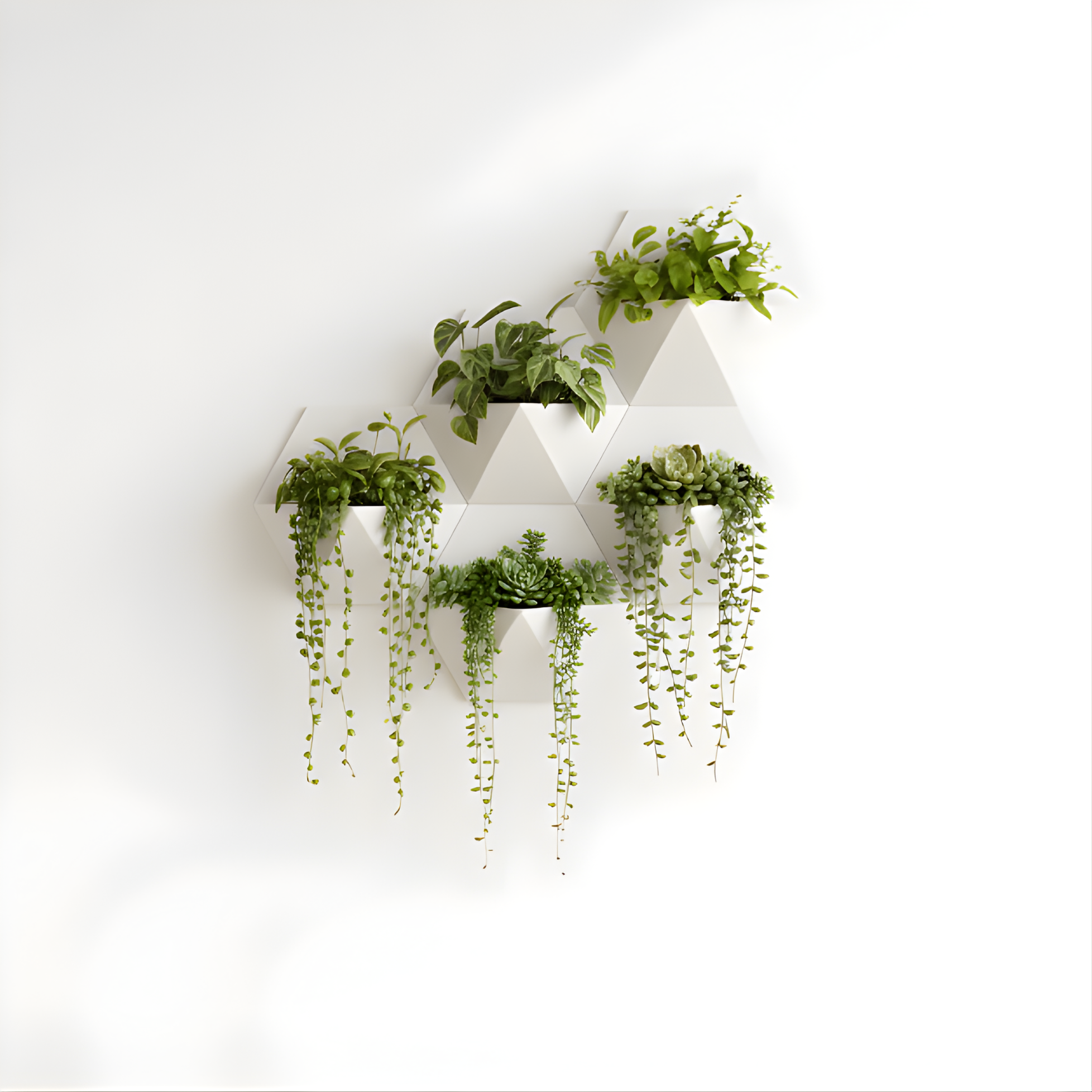 Geometric wall planters with green plants on a white background